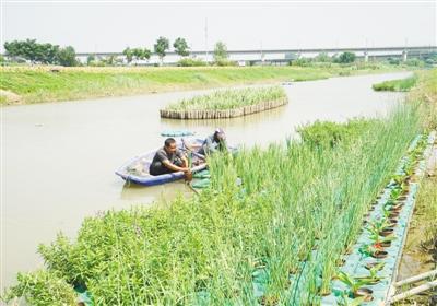 污水处理能力不足成城市发展瓶颈 设施短板如何补齐(图1)