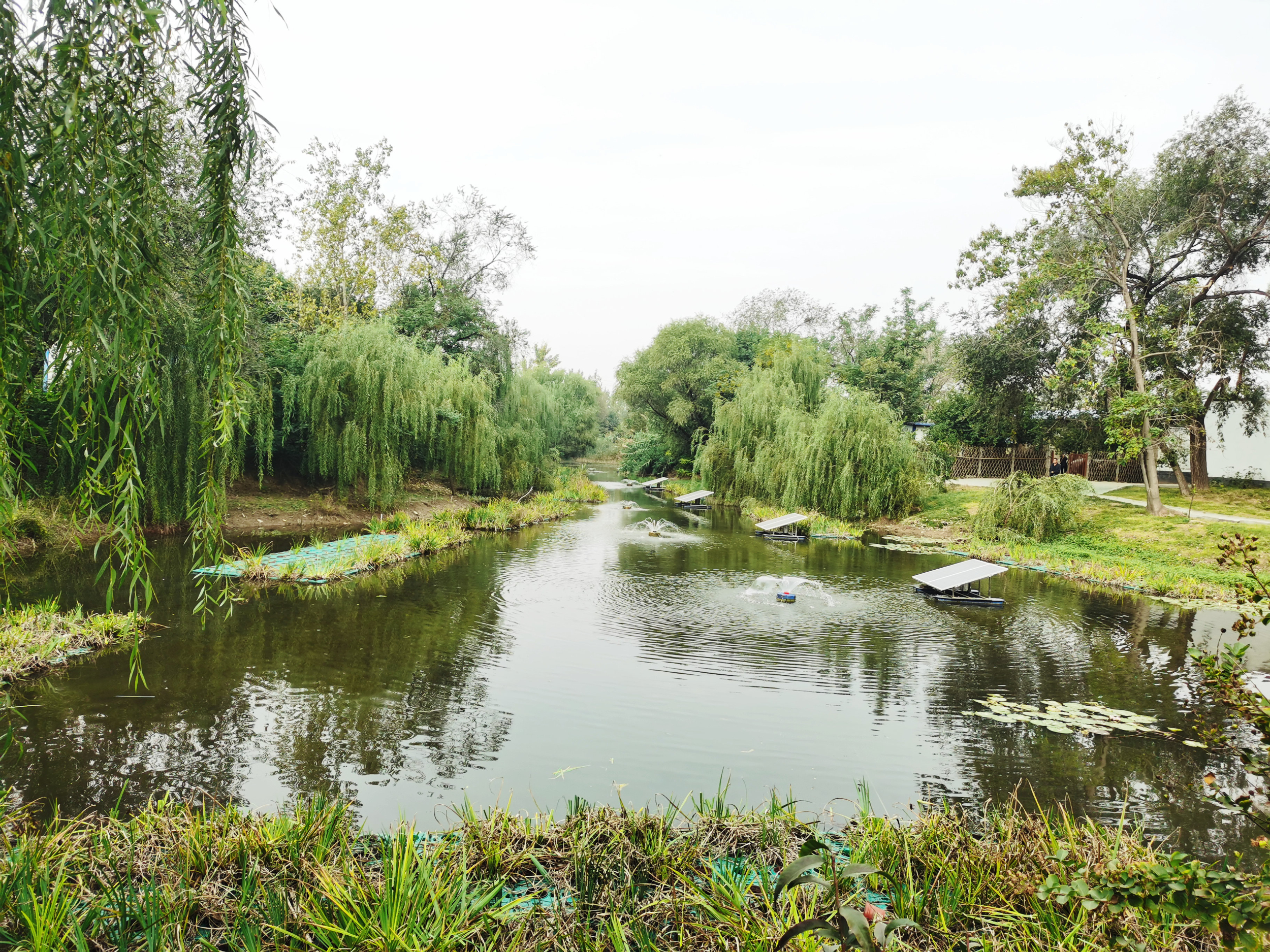 深入实施农村生活污水治理山东着力打造秀水乡村(图5)