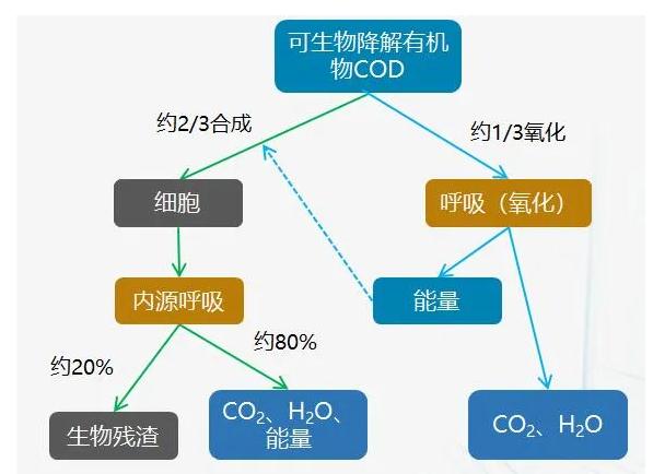 后疫情时代医院污水处理建设管理要点与发展趋势(图6)