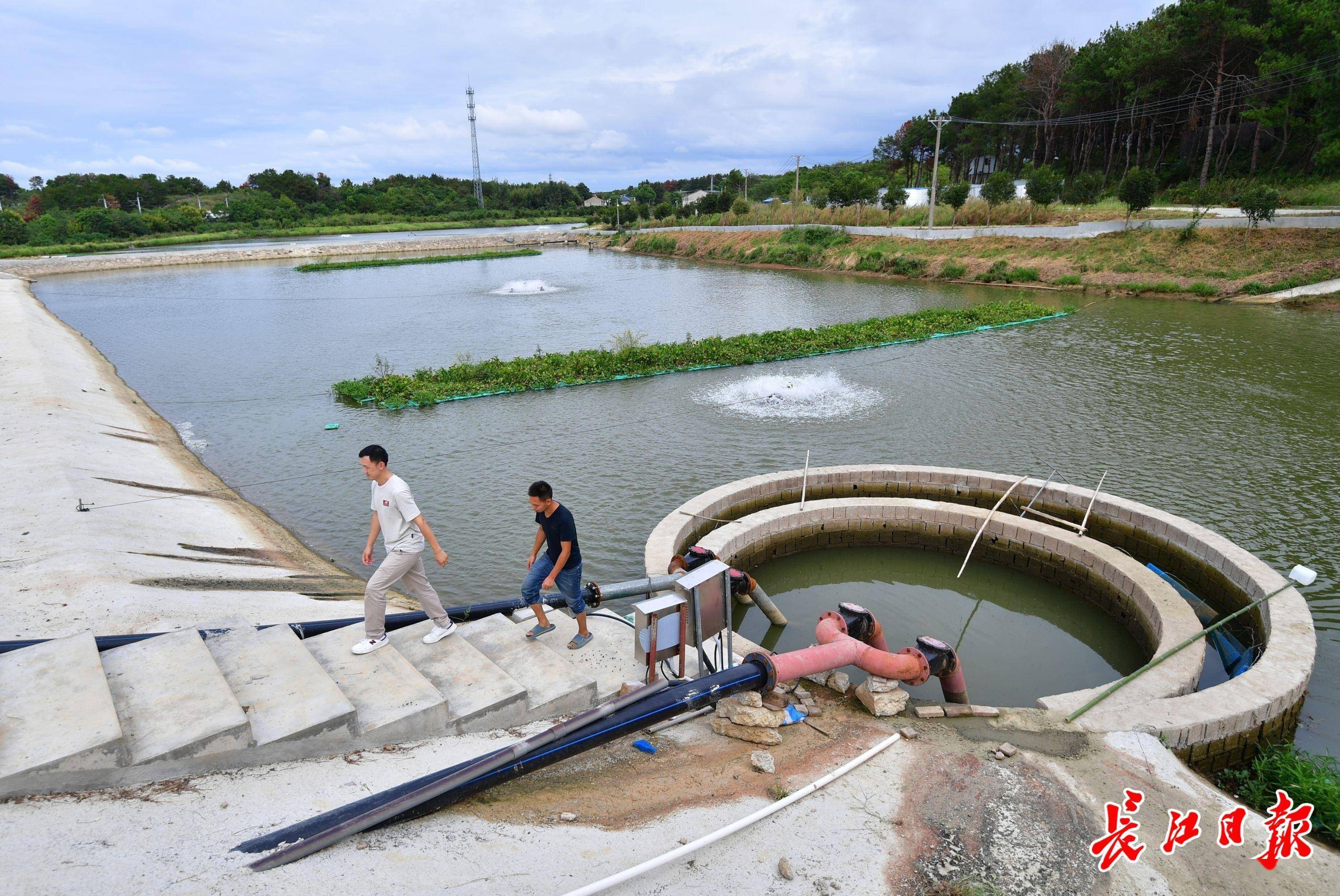 维基体育把“鱼儿的家”搬进“巨型水桶”“零排放”环保养鱼产量提高15倍(图4)